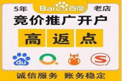 SEO与SEM优化案例：打造企业互联网品牌